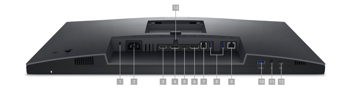 Dell P2423WEB connectivity